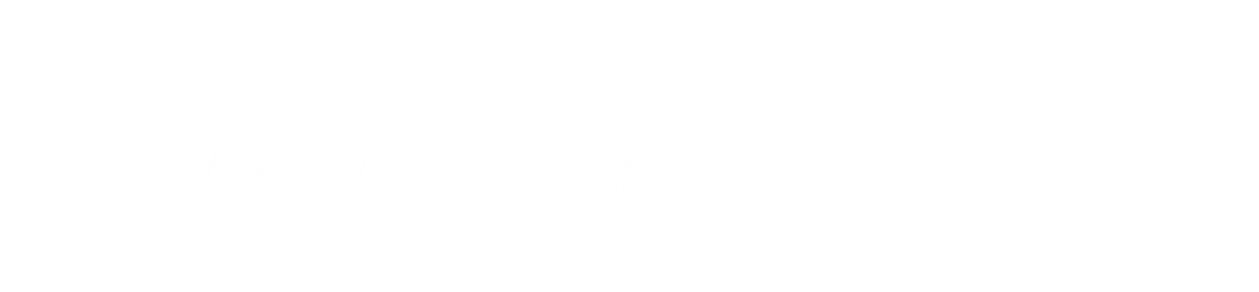 UFMA Pacte Logo